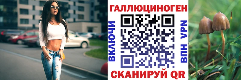 Галлюциногенные грибы Psilocybine cubensis  Лосино-Петровский 