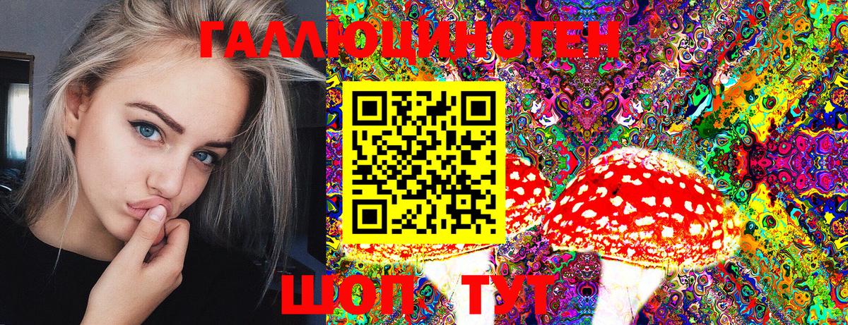 Псилоцибиновые грибы MAGIC MUSHROOMS Лосино-Петровский