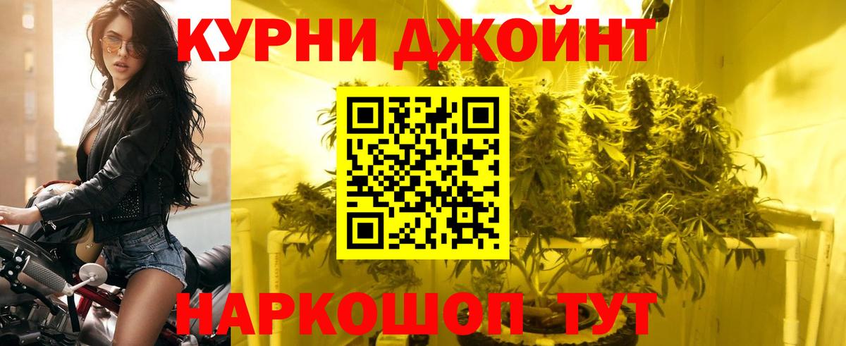 Конопля SATIVA & INDICA Лосино-Петровский